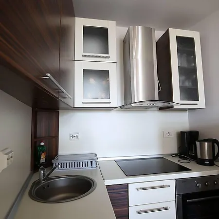 Appartamento Stadthaus Briski